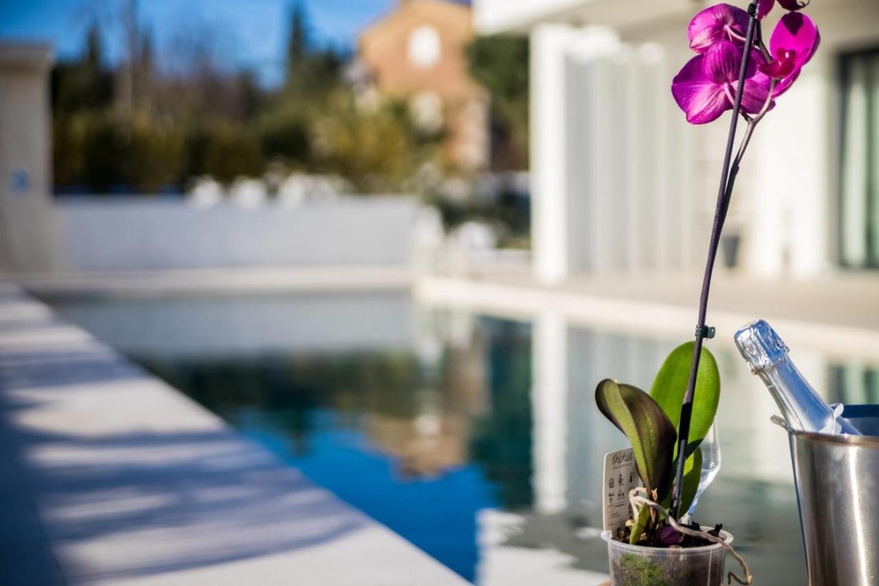 Villa Milly Vrh  Ngoại thất bức ảnh